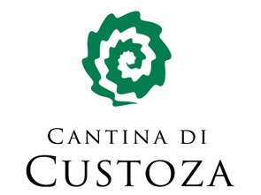 I Vini - In bottiglia