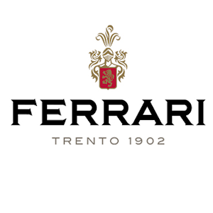 I Vini - Novità